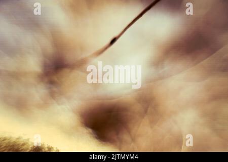 Spazio a quattro dimensioni sfocato (cielo trapelato, il concetto di wormhole). Fantasy astratta primo piano estremo Foto Stock