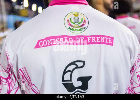 Ballerino con la camicia della scuola di samba di mangueira a Rio de Janeiro, Brasile - 16 febbraio 2020: Camicia della commissione della scuola di samba dalla parte anteriore Foto Stock