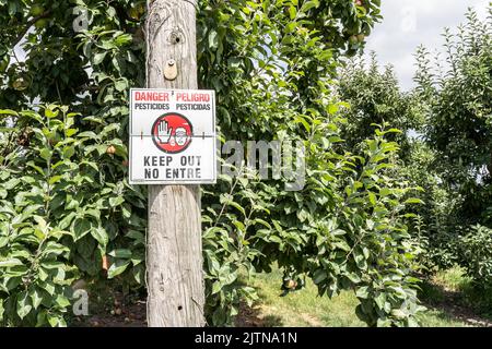 Un cartello che avverte le persone in inglese e spagnolo di non entrare nel frutteto di mele a causa dell'applicazione di pesticidi Foto Stock