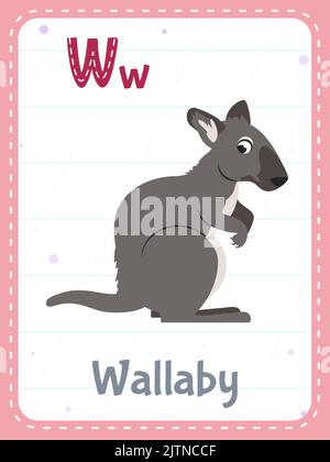 Scheda flash stampabile alfabeto con lettera W. Cartoon carino animale wallaby e parola inglese su scheda flash per l'educazione dei bambini. Scheda di memoria della scuola per bambini asilo piatto illustrazione vettoriale. Illustrazione Vettoriale