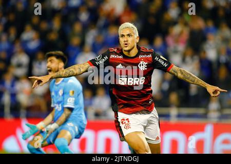 Buenos Aires, Argentina. 31st ago, 2022. Pedro do Flamengo, celebra il suo obiettivo durante la partita tra Velez Sarsfield e Flamengo, per la 2022 Copa Libertadores Semifinal, presso lo stadio Jose Amalfitani questo mercoledì 31. €30761 (DiaEsportivo/SPP) Credit: SPP Sport Press Photo. /Alamy Live News Foto Stock