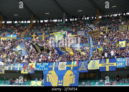 Foto StefanoNicoli/LaPresse 28 Agosto 2022 - Verona, Italia - sport, calcio - Hellas Verona vs Atalanta - Campionato italiano di calcio Serie A TIM 2022/2023 - Stadio Marcantonio Bentegodi. Nella foto: Tifosi Verona 28 agosto 2022 Verona, Italia - sport, calcio - Hellas Verona vs Atalanta - Campionato Italiano Serie A Calcio 2022/2023 - Stadio Marcantonio Bentegodi. Nella foto: Tifosi Verona Foto Stock