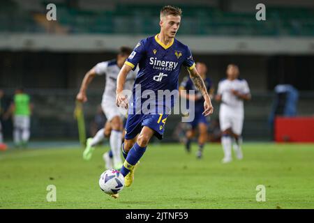 Foto StefanoNicoli/LaPresse 28 Agosto 2022 - Verona, Italia - sport, calcio - Hellas Verona vs Atalanta - Campionato italiano di calcio Serie A TIM 2022/2023 - Stadio Marcantonio Bentegodi. Nella foto: Ivan Ilic 28 agosto 2022 Verona, Italia - sport, calcio - Hellas Verona vs Atalanta - Campionato Italiano Serie A Calcio 2022/2023 - Stadio Marcantonio Bentegodi. Nella foto: Ivan Ilic Foto Stock