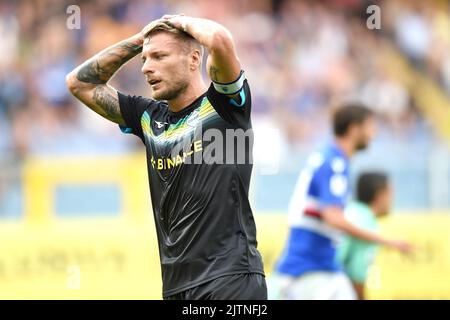 Foto Tano Pecoraro/LaPresse 31 Agosto 2022 - Genova, Italia Sport, Calcio Sampdoria vs Lazio - Campionato italiano di calcio Serie A TIM 2022/2023 - Stadio Luigi Ferraris nella foto: Foto immobile Tano Pecoraro/LaPresse 31 agosto 2022 - Genova, Italia Sport, Calcio Sampdoria vs Lazio - Campionato Italiano Serie A 2022/2023 - Stadio Luigi Ferraris nella foto: Immobile Foto Stock