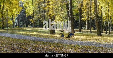 giallo città noleggio-una-bici parcheggiata sul sentiero nel parco della città durante il giorno di autunno soleggiato. immagine panoramica. Foto Stock