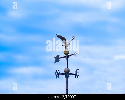 Banderuola contro il cielo comprendente aquila, puntatore e punti di bussola Foto Stock