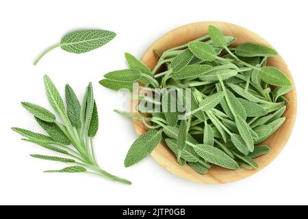 erba di salvia fresca in ciotola di legno isolata su fondo bianco. Vista dall'alto. Giacitura piatta Foto Stock