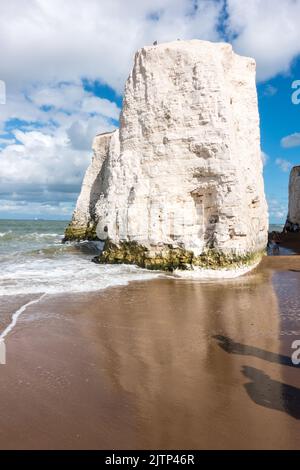 Scogliera in gesso bianco autoportante a Botany Bay, Kent, Inghilterra, Regno Unito Foto Stock