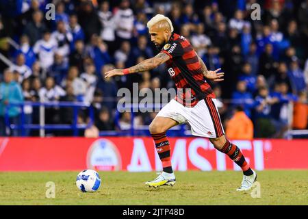 Buenos Aires, Argentina. 31st ago, 2022. Arturo Vidal of Flamengo in azione durante la partita semifinale della Copa CONMEBOL Libertadores 2022 di prima tappa tra Velez e Flamengo allo stadio Jose Amalfitani. Punteggio finale; Velez 0:4 Flamengo. (Foto di Manuel Cortina/SOPA Images/Sipa USA) Credit: Sipa USA/Alamy Live News Foto Stock