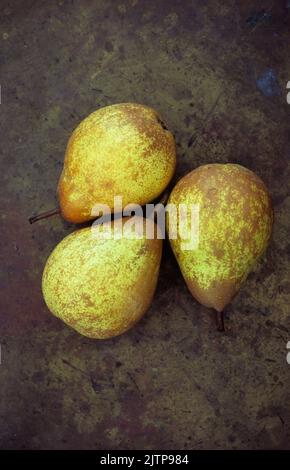 Tre pere Rocha mature dorate gialle e marroni giacenti su ottone annerito Foto Stock