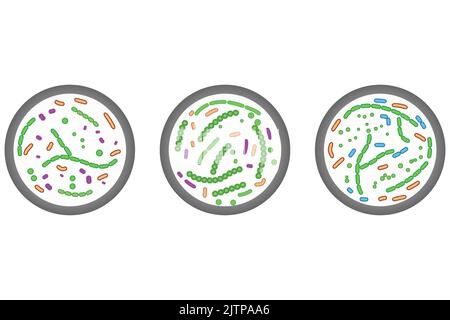 Set di 3 icone di piastre Petri. Illustrazione semplice colorata con cellule batteriche. Illustrazione Vettoriale