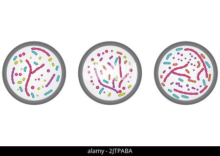 Set di 3 icone di piastre Petri. Illustrazione semplice colorata con cellule batteriche. Illustrazione Vettoriale