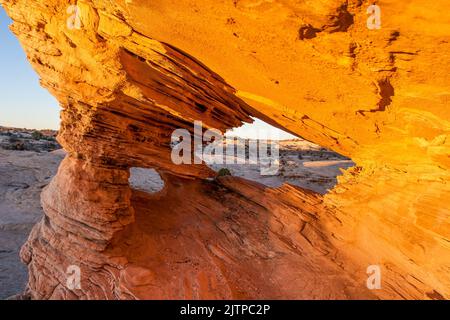 Numerosi piccoli archi nella colorata arenaria nel deserto vicino a Moab, Utah. Foto Stock