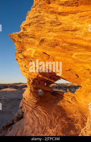 Numerosi piccoli archi nella colorata arenaria nel deserto vicino a Moab, Utah. Foto Stock