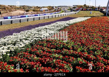 Zandvoort, Paesi Bassi. 1st settembre 2022. Circuito atmosfera - fiori. Gran Premio dei Paesi Bassi, giovedì 1st settembre 2022. Zandvoort, Paesi Bassi. Credit: James Moy/Alamy Live News Foto Stock