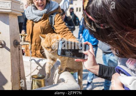 Berg Sion und Klagemauer a Gerusalemme Israele Foto Stock