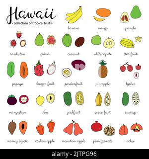 Frutti tropicali disegnati a mano delle Hawaii isolati su sfondo bianco. Illustrazione Vettoriale