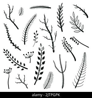 Raccolta di rametti, rami e bacche disegnati a mano isolati su fondo bianco. Illustrazione Vettoriale