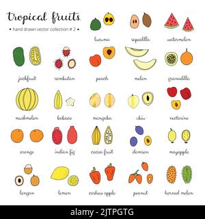 Frutta tropicale disegnata a mano isolata su sfondo bianco. Illustrazione Vettoriale