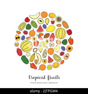 Frutti tropicali disegnati a mano a forma di cerchio con scritte. Illustrazione Vettoriale