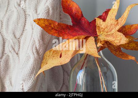 Foglie autunnali in vaso di vetro su fondo a maglia leggera Foto Stock