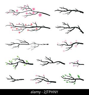 Collezione di rami d'albero e ramoscelli sakura in fiore con fiori rosa isolati su sfondo bianco. Illustrazione Vettoriale