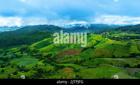 Vista aerea della terrazza del riso al Ban pa Bong Piang a Chiang mai, Thailandia. Foto Stock