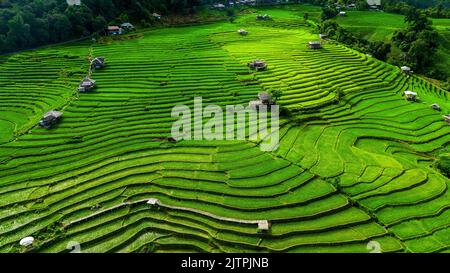 Vista aerea della terrazza del riso al Ban pa Bong Piang a Chiang mai, Thailandia. Foto Stock