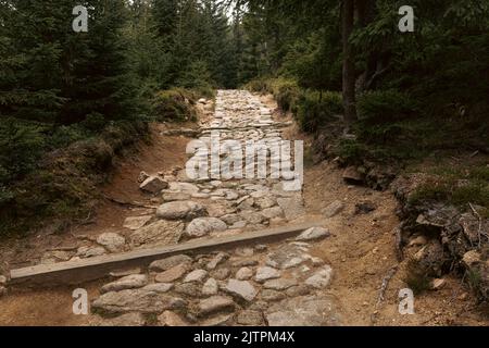 Sentiero di montagna roccioso nel Parco Nazionale di Karkonosze Foto Stock