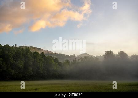 Prato di nebbia all'alba nella Valle di Cataloochee nel Parco Nazionale delle Great Smoky Mountatins Foto Stock