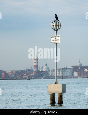 Venezia, Italia - 27 ottobre 2021: Cormorano seduto su un palo nella laguna di Venezia, giorno di sole in autunno Foto Stock