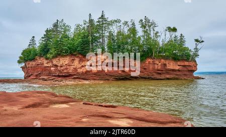 Burntcoat Head Park a East Hants vicino a Noel Nova Scotia. Quest'area sulla Baia di Fundy ha le maree piu' alte dell'worl. Ecco uno scatto scattato ad alti ti Foto Stock