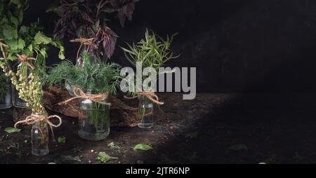 Vasetti con mazzetti di erbe da giardino fresche verdi si trovano sul tavolo su uno sfondo scuro. Banner cucina, panorama, sfondo con spa gratuita Foto Stock