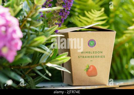 Wimbledon Strawberry box intorno ai campi ai Campionati 2022. Si tiene all'All England Lawn Tennis Club di Wimbledon. Foto Stock