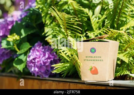 Wimbledon Strawberry box intorno ai campi ai Campionati 2022. Si tiene all'All England Lawn Tennis Club di Wimbledon. Foto Stock