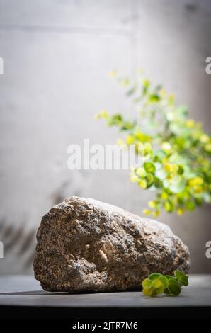 Podio per la messa a posto del prodotto Foto Stock