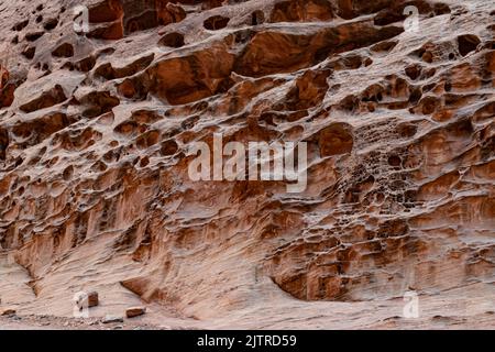 L'arenaria rossa/arancione Entrada è piena di cavità di soluzione sulle pareti del canyon. Le cavità della soluzione sono causate dagli effetti degli agenti atmosferici Foto Stock