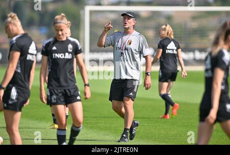 Tubize, Belgio, 01 settembre 2022. L'assistente del Belgio, Kris Vanderhaegen, è stato raffigurato durante una sessione di allenamento della nazionale belga di calcio femminile The Red Flames, a Tubize, giovedì 01 settembre 2022. Venerdì la squadra norvegese giocherà nelle qualifiche per i Campionati del mondo. FOTO DI BELGA DAVID CATRY Foto Stock