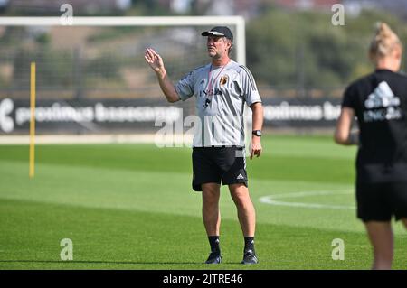 Tubize, Belgio, 01 settembre 2022. L'assistente del Belgio, Kris Vanderhaegen, è stato raffigurato durante una sessione di allenamento della nazionale belga di calcio femminile The Red Flames, a Tubize, giovedì 01 settembre 2022. Venerdì la squadra norvegese giocherà nelle qualifiche per i Campionati del mondo. FOTO DI BELGA DAVID CATRY Foto Stock