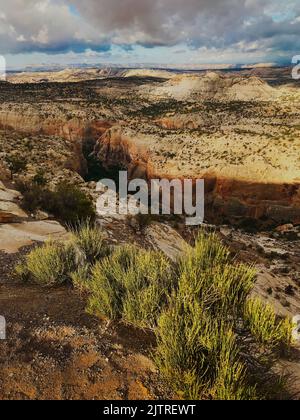 Un profondo canyon dalla distanza nasconde il fiume Escalante dalla vista, il Grand Staircase Escalante National Monument, Garfield County, Utah Foto Stock