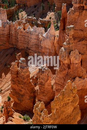 Gli hoodoos sono ciò che le spettacolari colonne di pietra sono chiamate al Bryce Canyon National Park nella contea di Garfield, Utah. Foto Stock