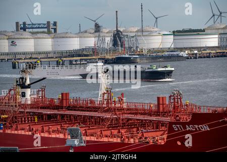 Petroleumhaven, Vopak Terminal Europoort, fattoria petrolifera, oltre 99 grandi serbatoi, e 22 terminali di carico per navi d'oltremare e interna, Europoor Foto Stock