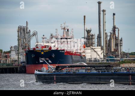 Petroleumhaven, Shell Terminal Europoort, azienda petrolifera, serbatoi alla rinfusa e terminali di carico per navi d'oltremare e interne, Europoort bulk Tanke Foto Stock