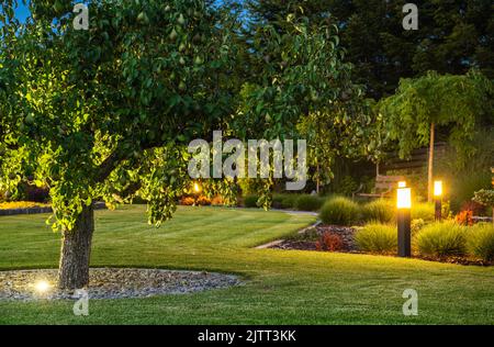 Grande albero di pera che cresce nel mezzo del giardino professionalmente paesaggistico del cortile. Prato rasato uniformemente con piante bene-tenute intorno. Orario serale. Foto Stock