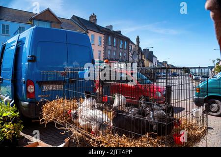 Mercato agricolo a Kilrush, Irlanda. Foto Stock