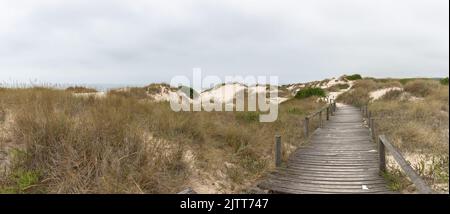 Vista panoramica delle dune selvagge protette sulla spiaggia di Torreira, sentieri pedonali in legno che attraversano le dune, sulla spiaggia di Torreira, Aveiro, Portogallo... Foto Stock