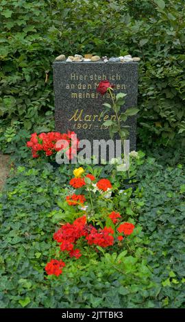 Grab, Marlene Dietrich, Friedhof, Stubenrauchstraße, Friedenau, Schöneberg, Berlino, Germania Foto Stock