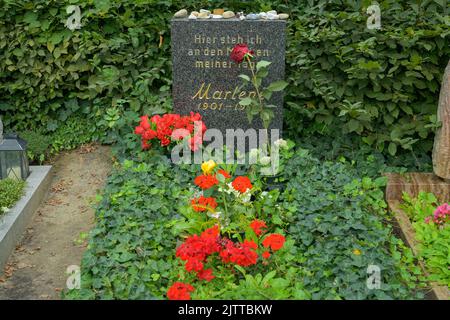 Grab, Marlene Dietrich, Friedhof, Stubenrauchstraße, Friedenau, Schöneberg, Berlino, Germania Foto Stock