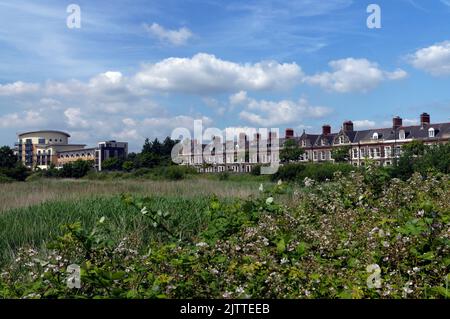 Cardiff Bay Weland Nature Reserve 2022 .Windsor Esplanade e appartamenti lacuna in distanza Foto Stock