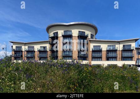 Lacuna Apartments, Cardiff Bay 2022 Foto Stock